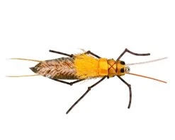 RIO's Morrish Still Stone -Fishing Sales 13613 large