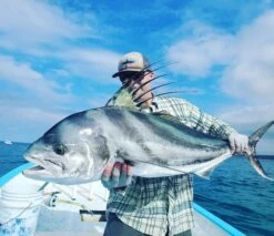 Top 12 Roosterfish & Dorado Flies // Deadly Dozen Assortment -Fishing Sales 51300551631 33f1f96e5e k