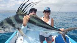 Top 12 Roosterfish & Dorado Flies // Deadly Dozen Assortment