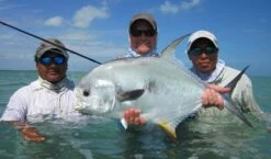 Top 12 Permit Flies // Deadly Dozen Assortment
