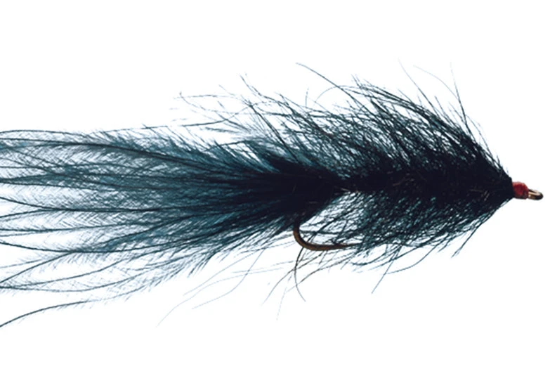 Hale Bopp Leech By Solitude 3 Hale Bopp Leech By Solitude