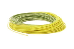 RIO Premier Gold -Fishing Sales Premier RIOGold Coil Moss Gold