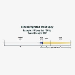 RIO Elite Integrated Trout Spey Line 8 RIO Elite Integrated Trout Spey Line -Fishing Sales RIOeliteintegratedtroutspeylinediagram