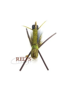 Bullet Head Skwala Stonefly By Solitude -Fishing Sales skwala belly