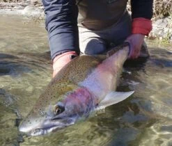 Top 12 Swinging Flies For Steelhead // Deadly Dozen Assortment